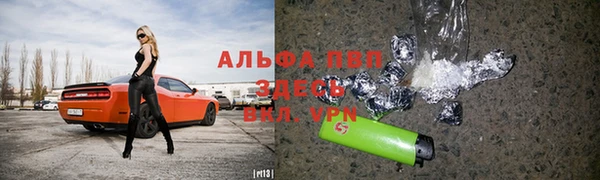 стаф Баксан
