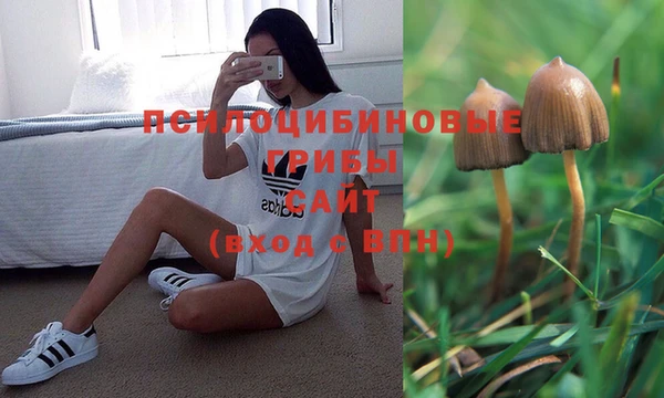 a pvp Балахна
