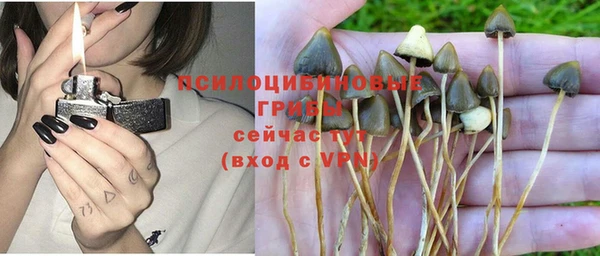a pvp Балахна